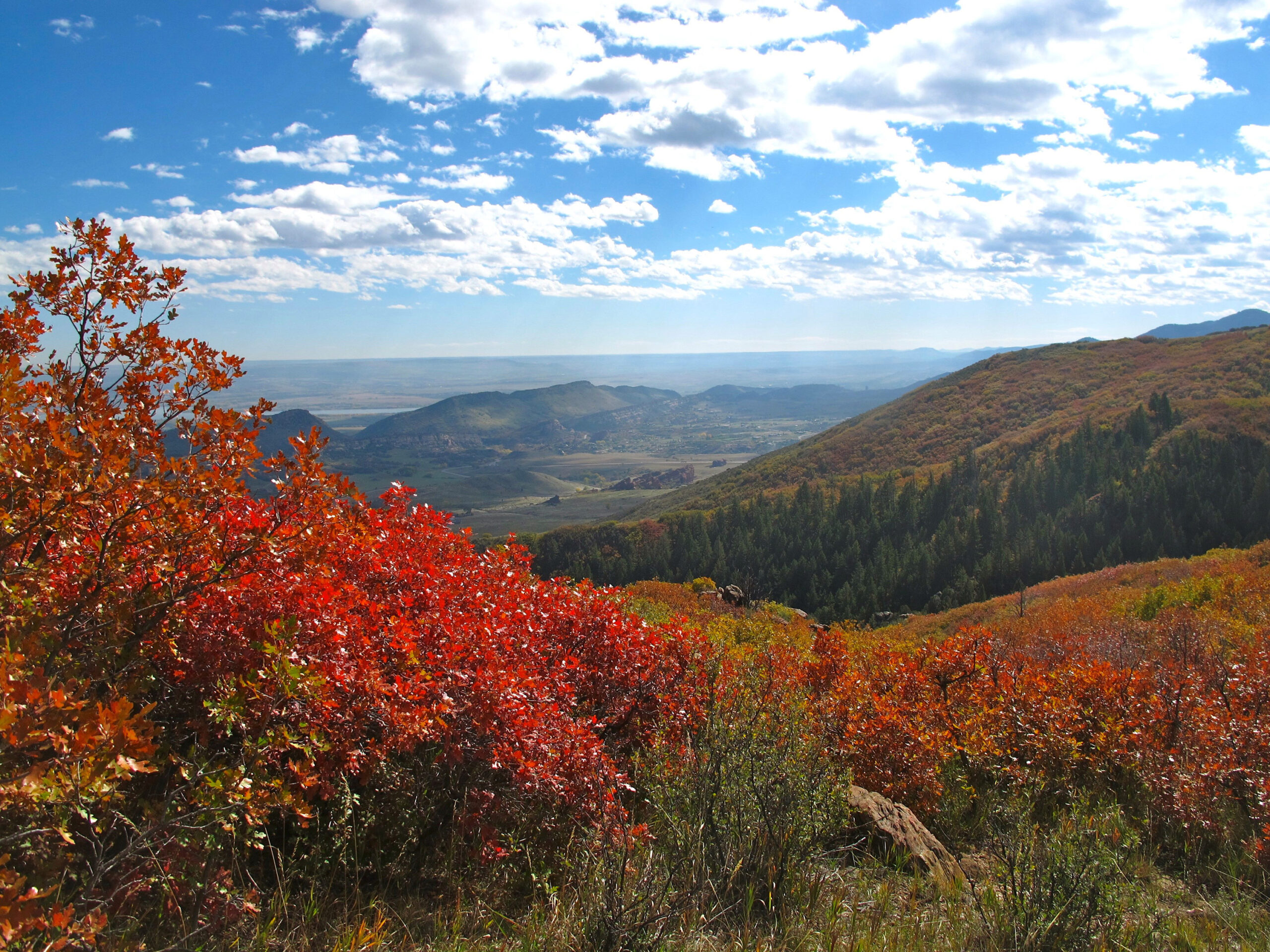 fall colors