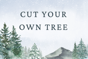 Cut Your Own Tree - Website Tile cut your own tree special event link