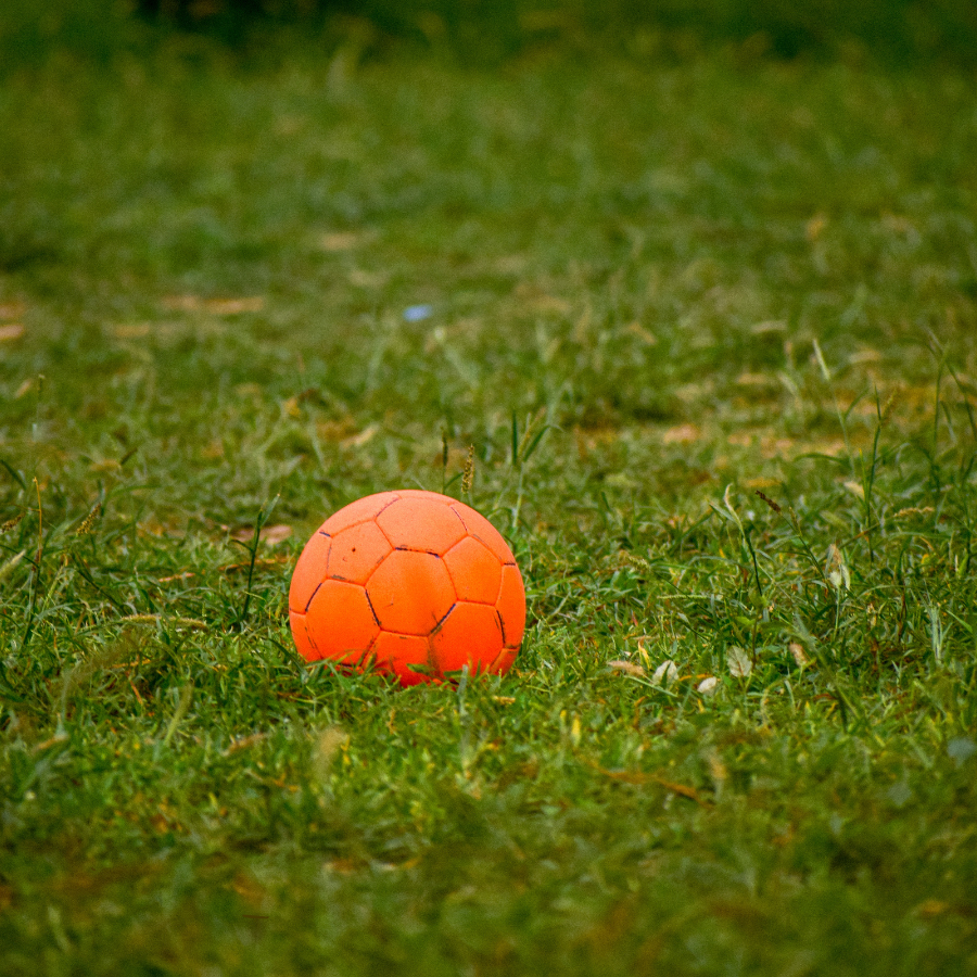 Adult Summer Kickball League