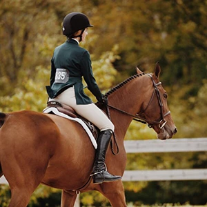 Introduction to Horsemanship