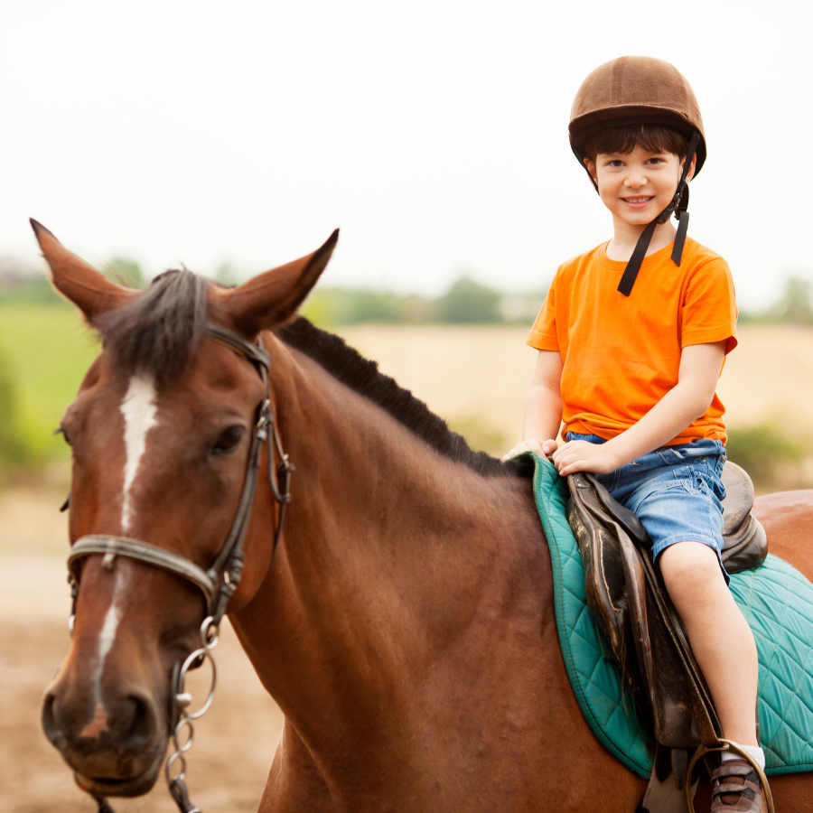 Equestrian Center Fall Day Camp